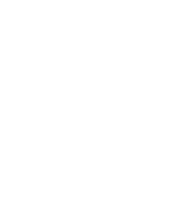 Brute Jeeps Logo